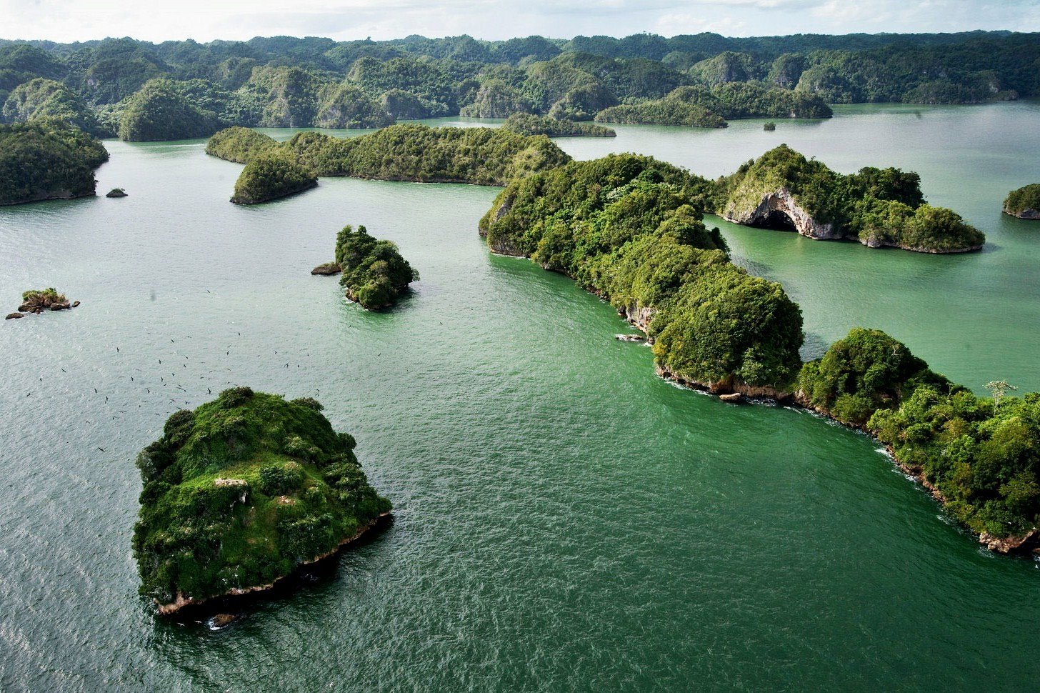 Parque Nacional los Haitises - Republica Dominicana