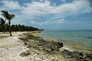 Las Mejores Playas de Punta Cana | Guía de Playas